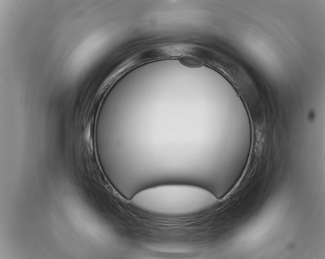 X0000090771198200707201108