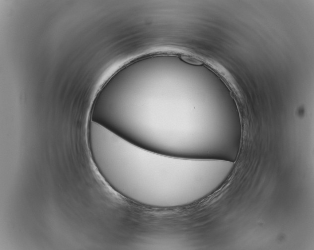 X0000090771199200707201108