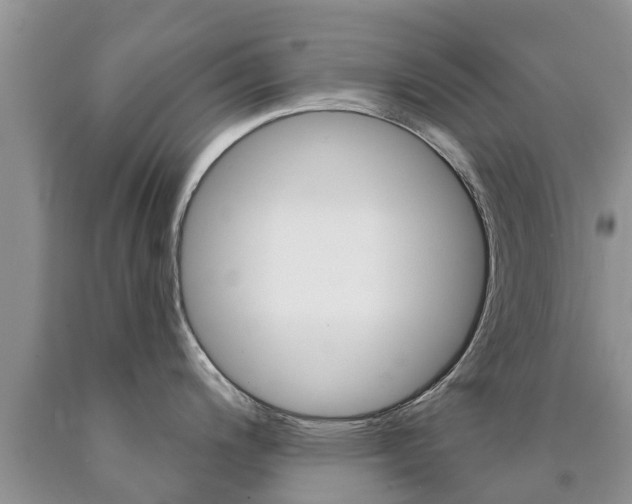 X0000090771200200707201108