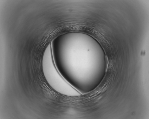 X0000090771202200707201107