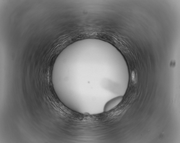 X0000090771203200707201107
