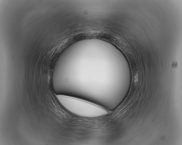 X0000090771204200707201107