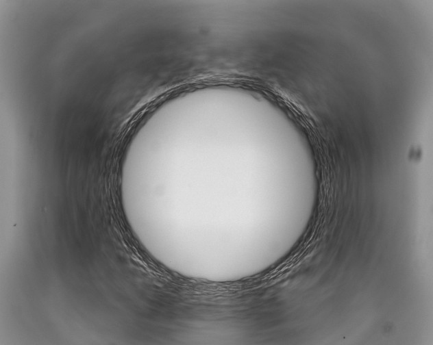 X0000090771206200707201107