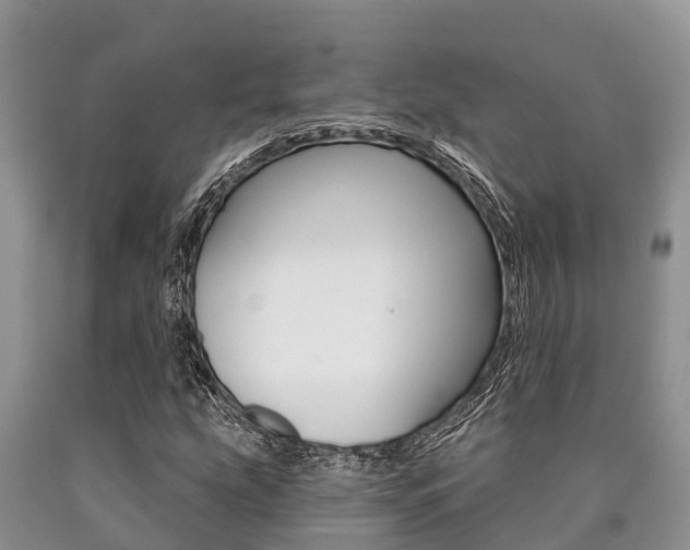 X0000090771207200707201107