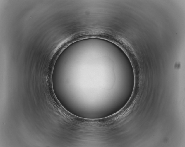 X0000090771210200707201107