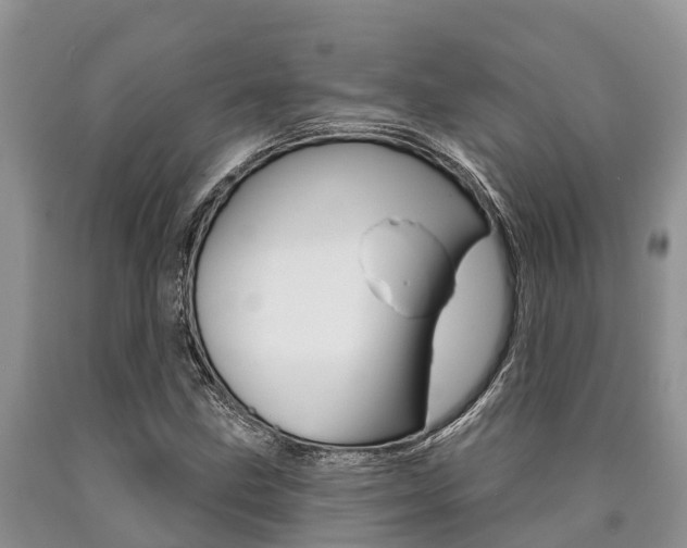 X0000090771211200707201107