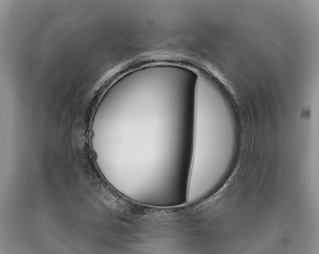 X0000090771213200707201107