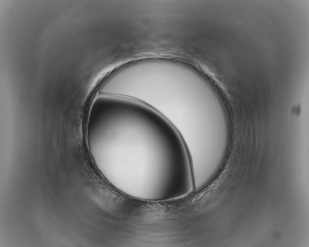 X0000090771214200707201107