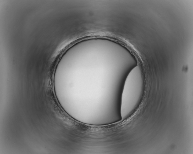 X0000090771215200707201107