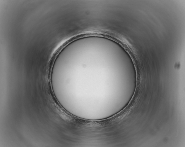 X0000090771216200707201107