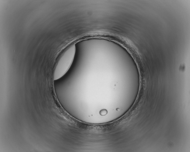 X0000090771217200707201107