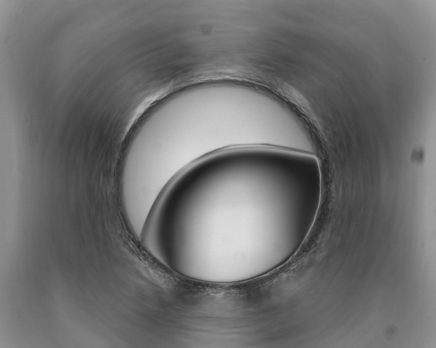 X0000090771218200707201107