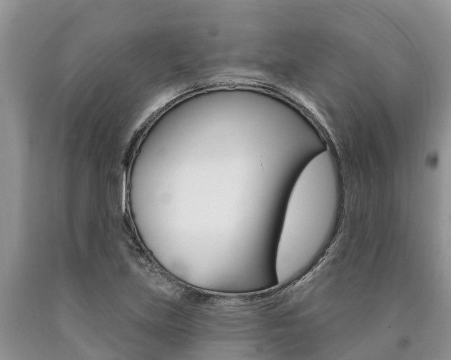 X0000090771219200707201107