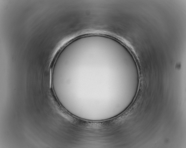 X0000090771223200707201107