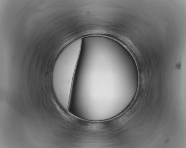 X0000090771225200707201107