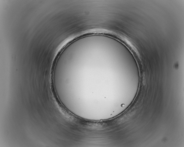 X0000090771229200707201107
