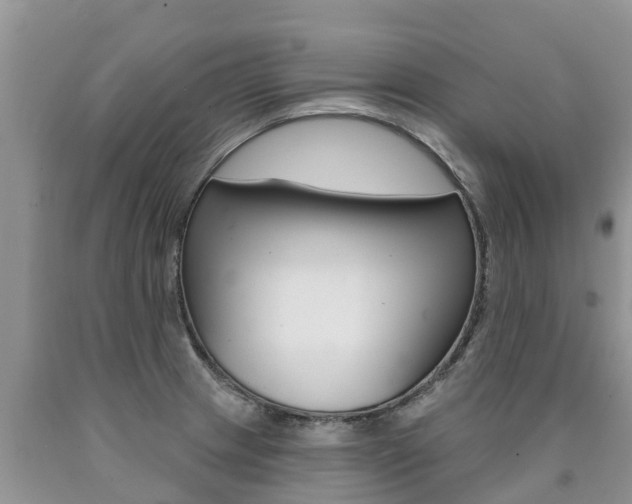 X0000090771233200707201107