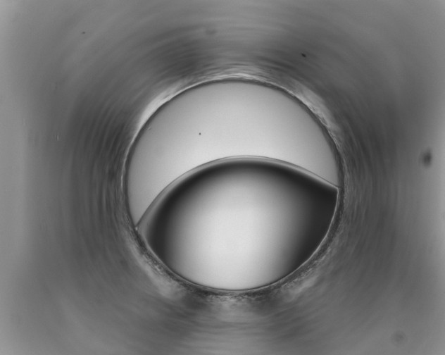 X0000090771234200707201107