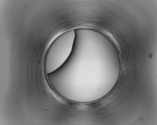 X0000090771235200707201107