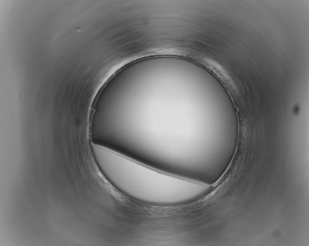 X0000090771236200707201108