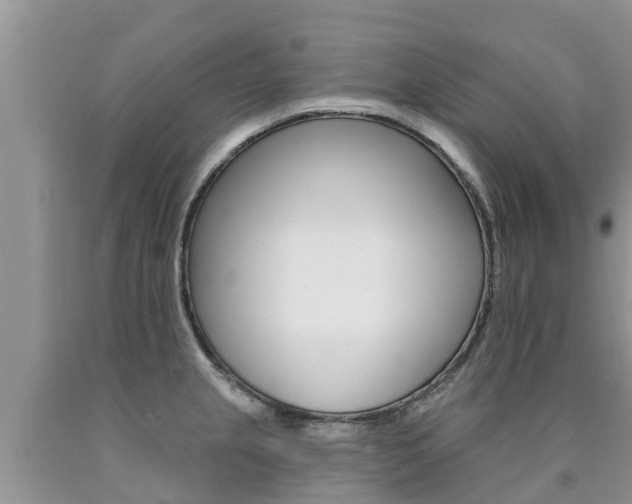 X0000090771237200707201108