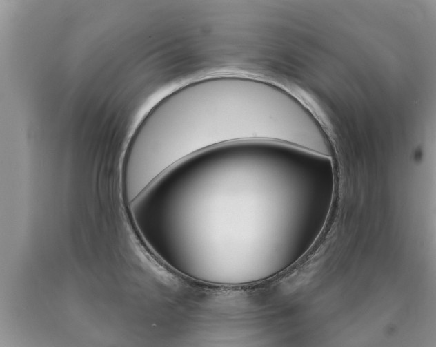 X0000090771238200707201108