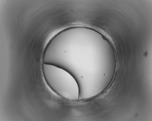X0000090771239200707201108