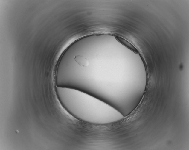 X0000090771243200707201108