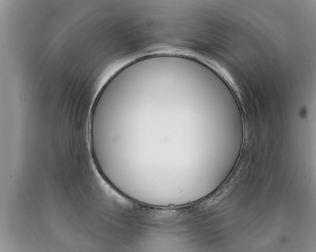X0000090771247200707201108