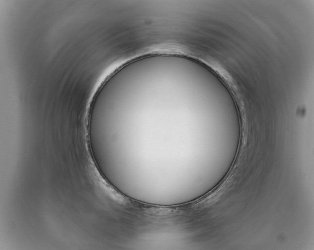 X0000090771248200707201108