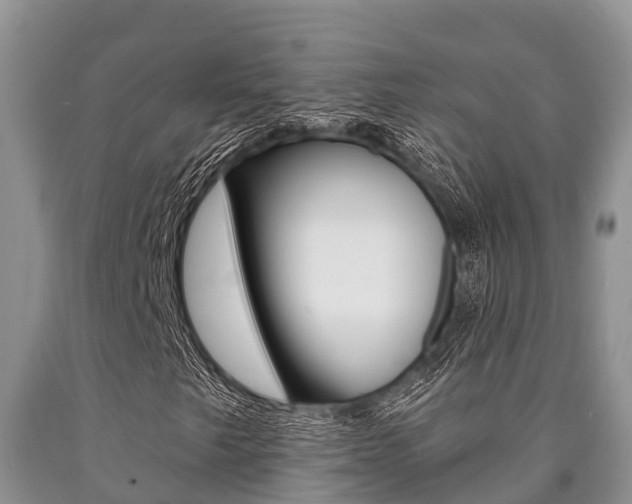 X0000090771249200707201107