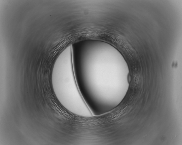 X0000090771250200707201107
