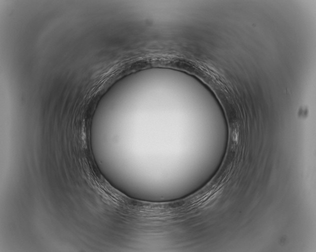 X0000090771252200707201107