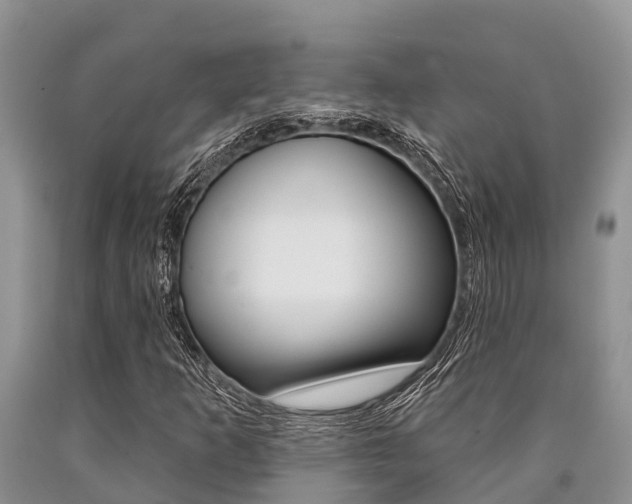 X0000090771253200707201107