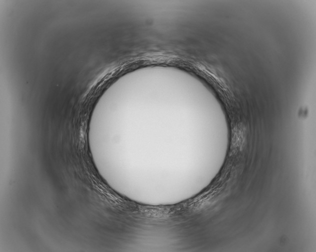X0000090771254200707201107