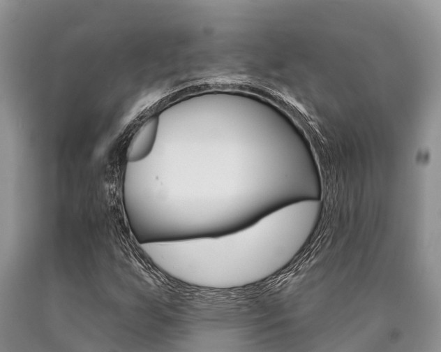 X0000090771255200707201107