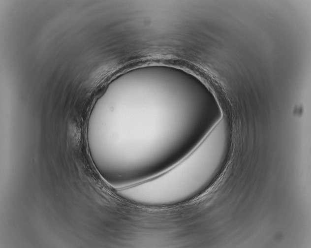 X0000090771257200707201107