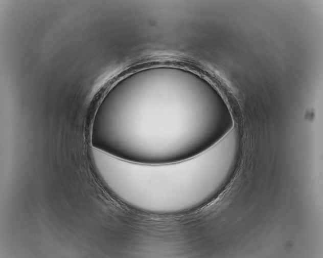 X0000090771261200707201107