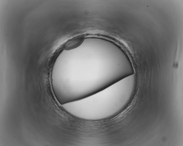 X0000090771263200707201107