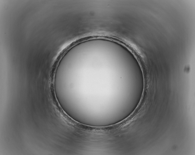 X0000090771264200707201107