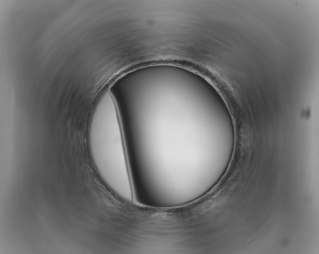 X0000090771265200707201107