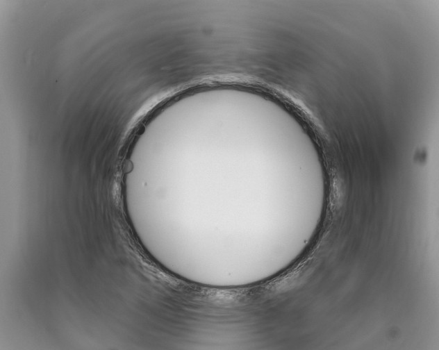 X0000090771266200707201107