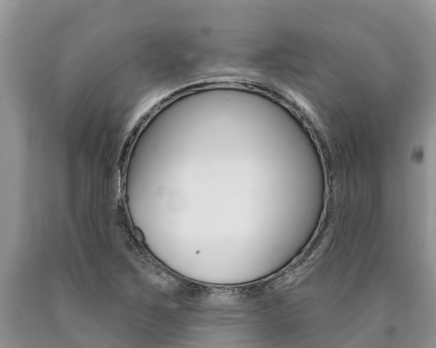 X0000090771267200707201107
