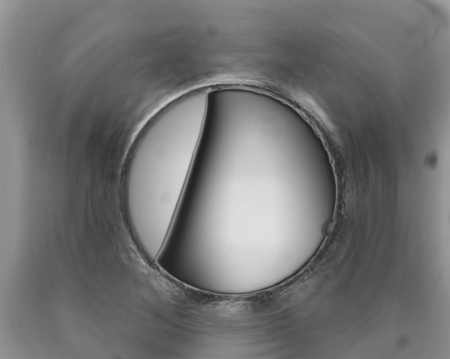 X0000090771268200707201107