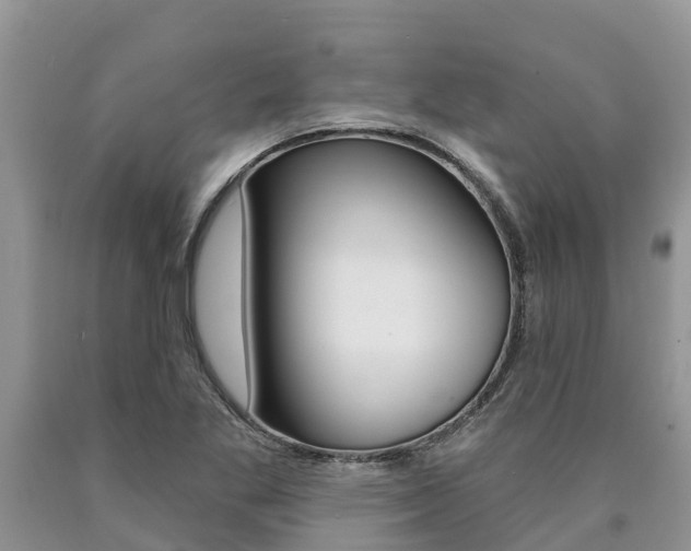 X0000090771269200707201107