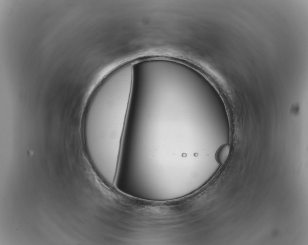 X0000090771272200707201107