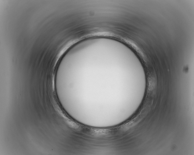 X0000090771274200707201107