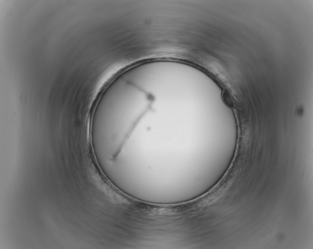 X0000090771275200707201107