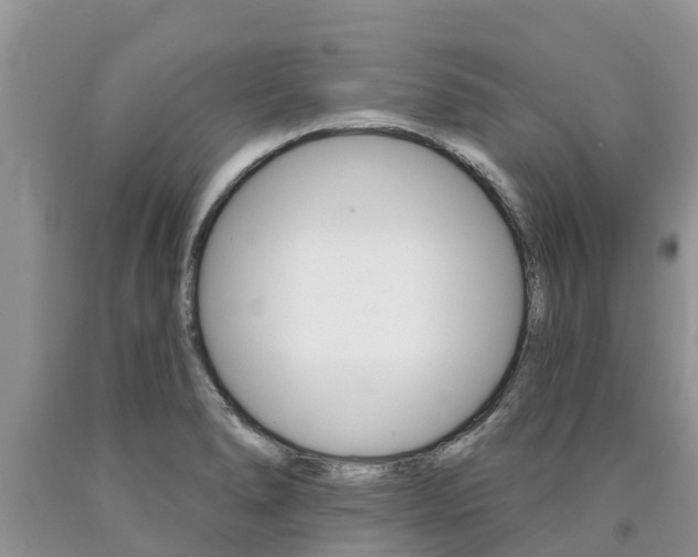 X0000090771278200707201107