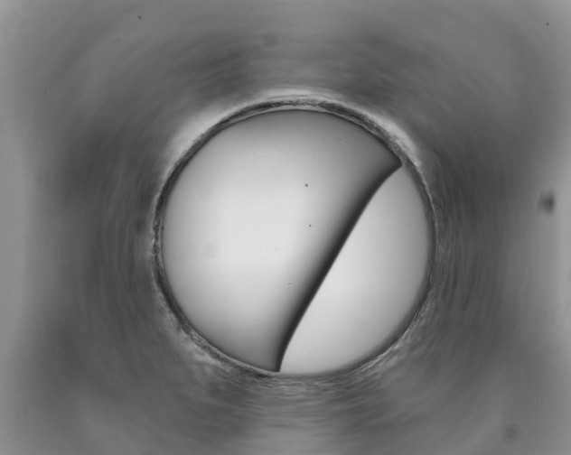 X0000090771279200707201107